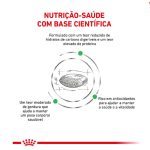 3ACC VDC DIABETIC