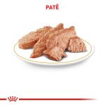 3ACC VDC DIABETIC WET 410G