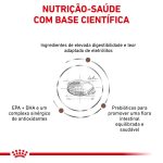 3ACC VDC GASTRO INTESTINAL MODERATE CALORIE