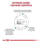 4ACC VDF HYPOALLERGENIC 2