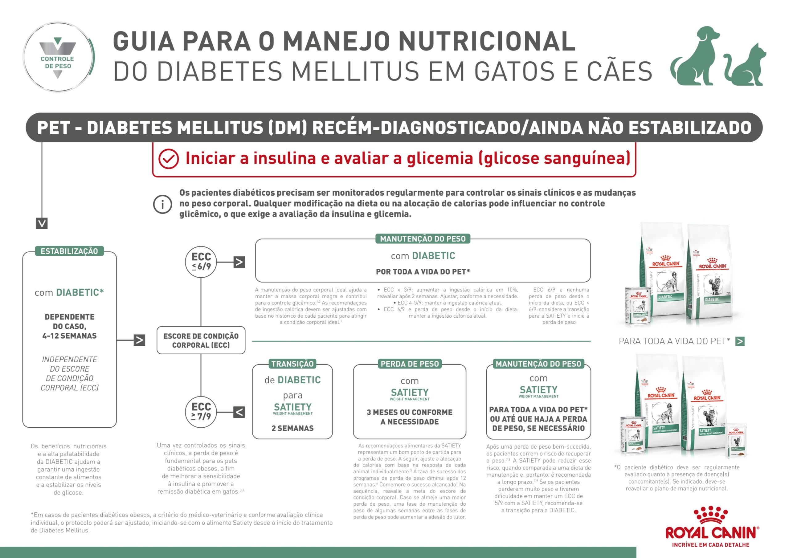 &Aacute;rvore decis&oacute;ria dos produtos Royal Canin para gatos e c&atilde;es com diabete mellitus