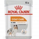 alimento &uacute;mido para c&atilde;es