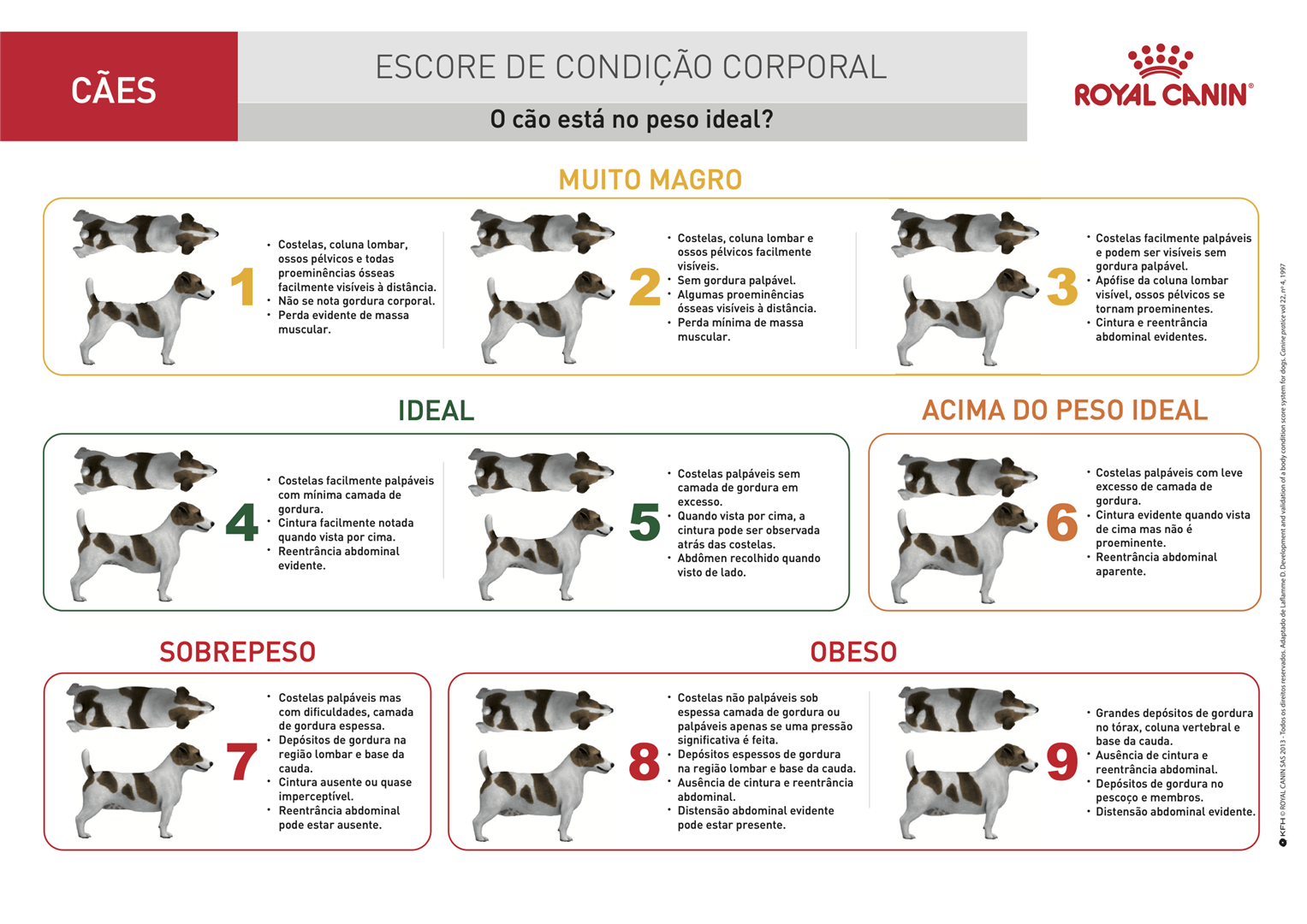 Imagem com o escore de condi&ccedil;&atilde;o corporal do peso de c&atilde;es