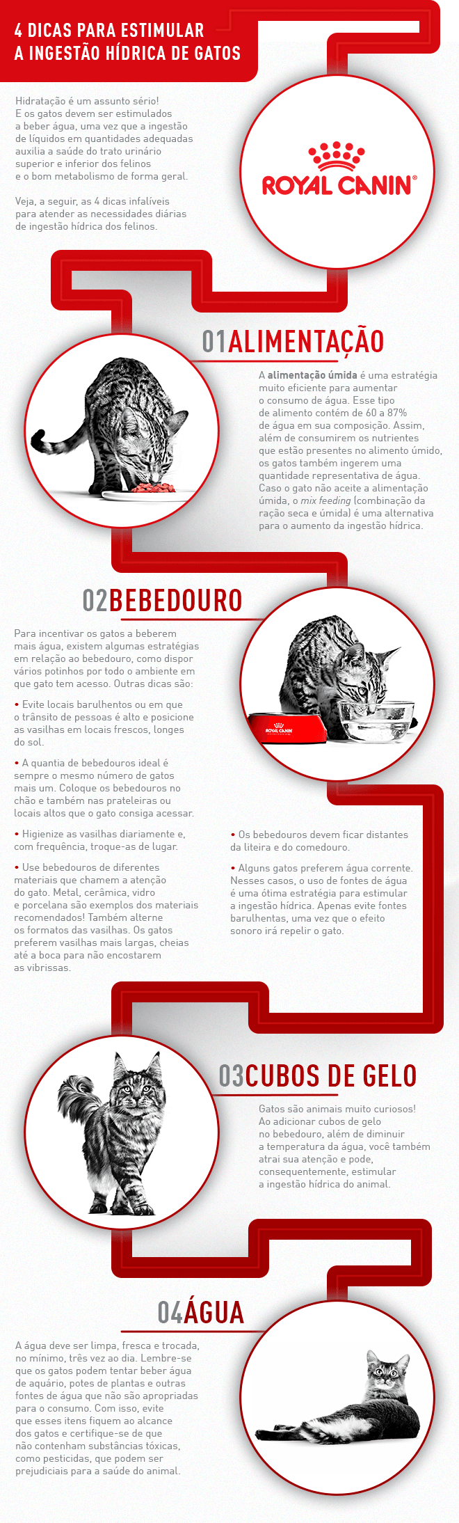 RoyalCanin_infografico_4dicas_v5.png