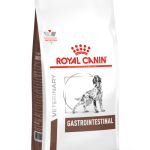 VHN GASTROINTESTINAL DOG DRY PACKSHOT Med. Res. Basic 1 1 500x707 1