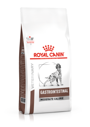 VHN GASTROINTESTINAL MODERATE CALORIE DOG DRY PACKSHOT B1 2022 Med. Res.   Basic