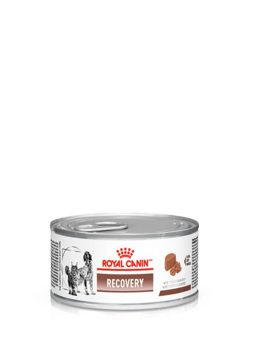 alimento recovery para cães e gatos