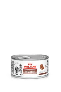 VHN GASTROINTESTINAL RECOVERY CAT DOG LOAF CAN PACKSHOT 2