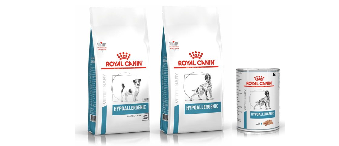 Alimentos que podem ser indicados para c&atilde;es com enteropatia cr&ocirc;nica inflamat&oacute;ria (antiga doen&ccedil;a inflamat&oacute;ria intestinal)