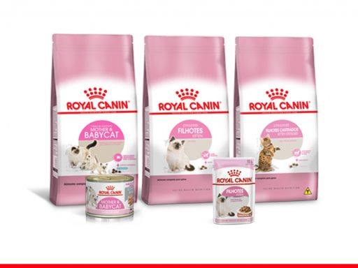 Alimentos &uacute;midos para gatos
