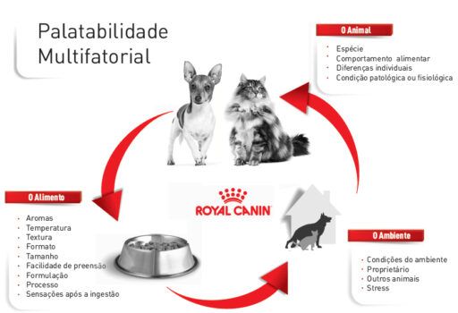 palatabilidade