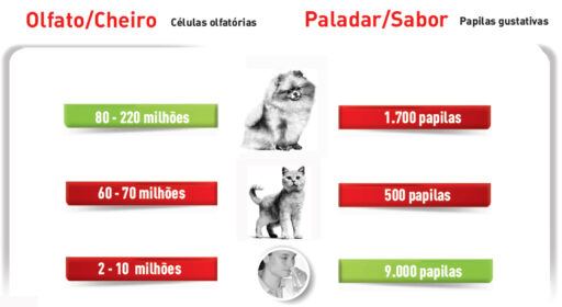 olfato-cheiro-sabor-paladar