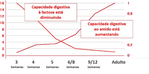 Capacidade digestiva dos filhotes