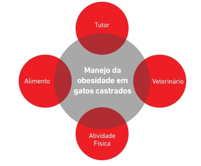 castracao