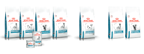 produtos da linha de Dermatoloogia da ROYAL CANIN