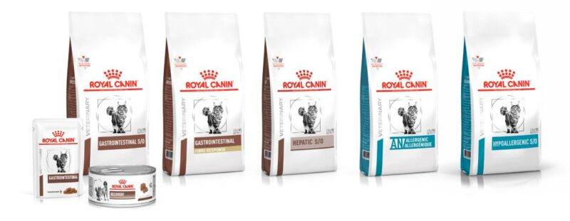 Linha Gastrointestinal para Felinos
