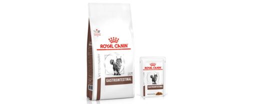 alimentos de gastro para gatos