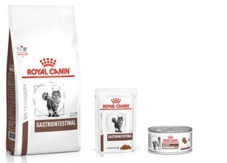 alimentos para gatos com afec&ccedil;&otilde;es gastrointestinais