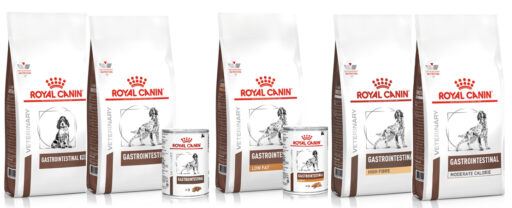 alimentos gastro para c&atilde;es
