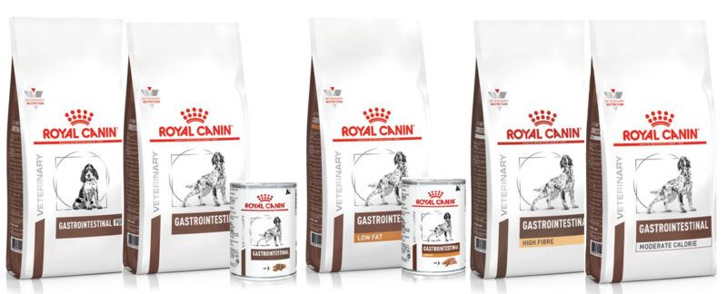 alimentos gastro para c&atilde;es