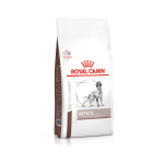 HEPATIC CANINE