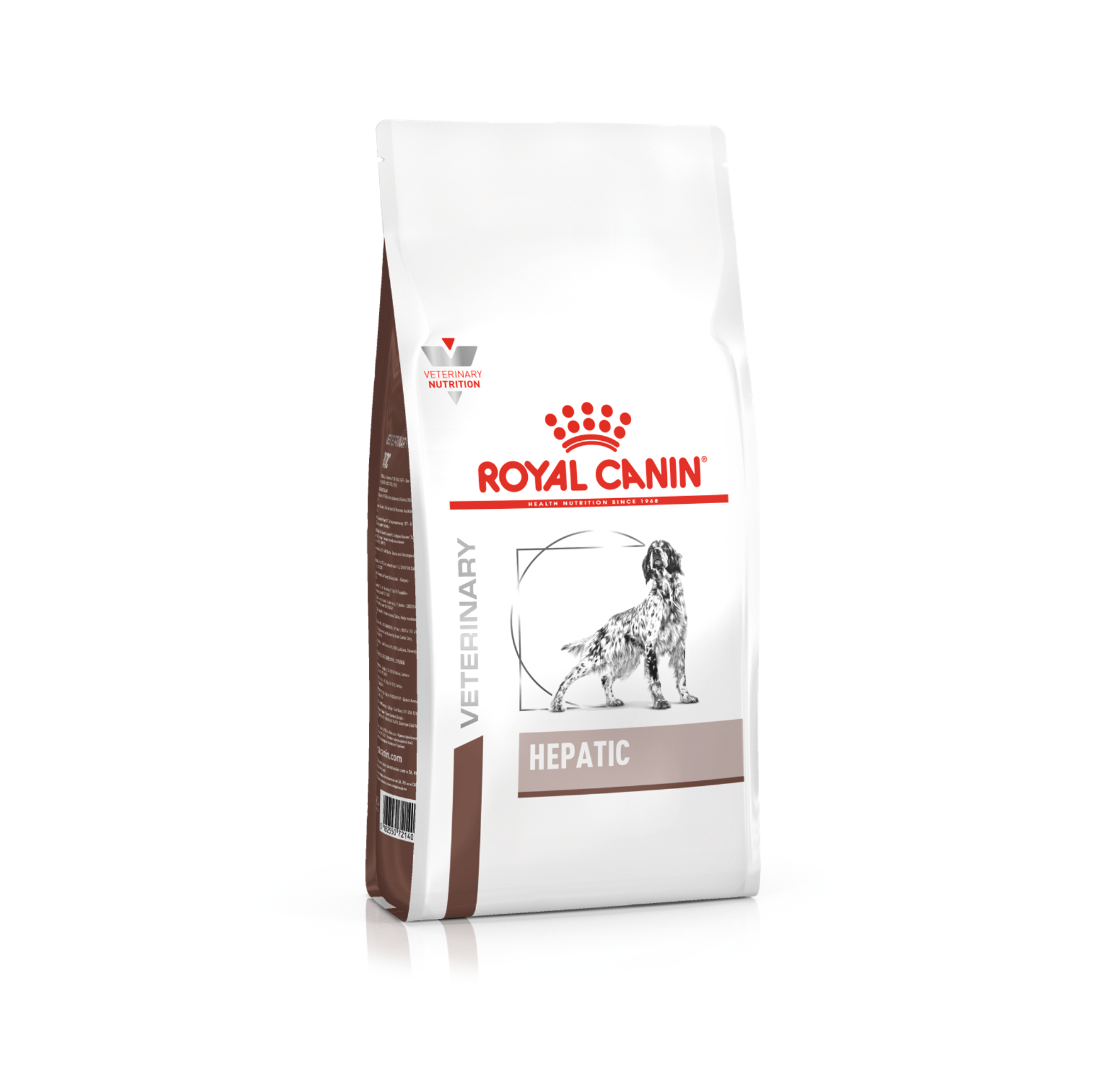 HEPATIC CANINE
