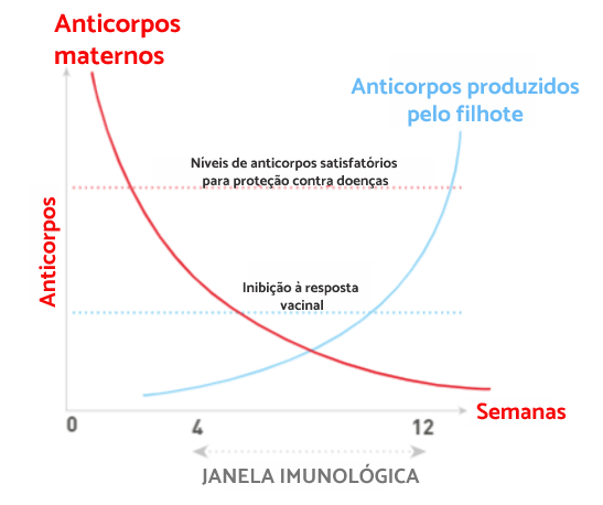 Janela imunol&oacute;gica