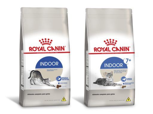 alimento gato indoor