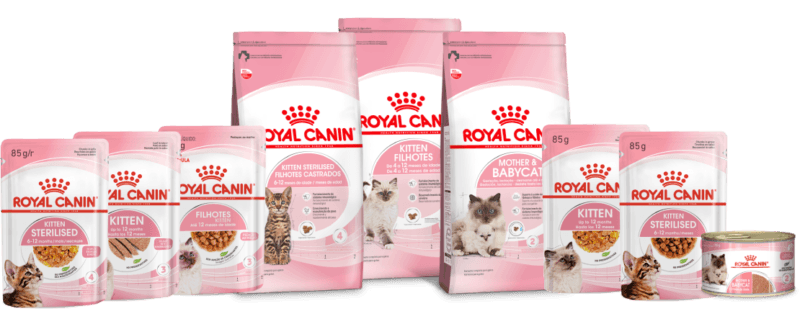 Linha de alimentos para filhotes felinos