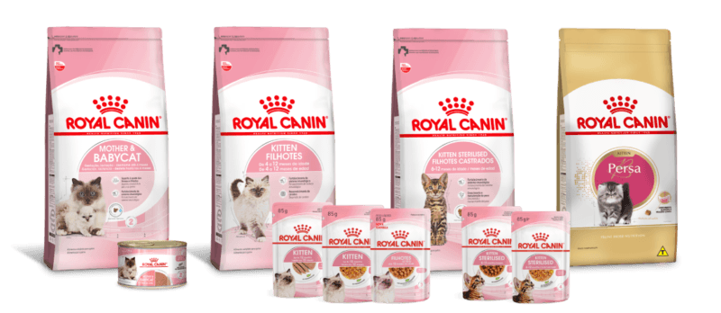 Linha de alimentos para filhotes felinos