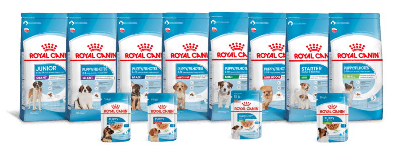 Linha Puppy completa