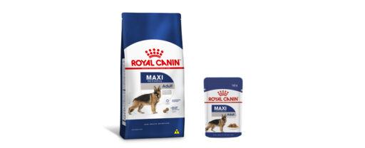 alimento Maxi Adulto