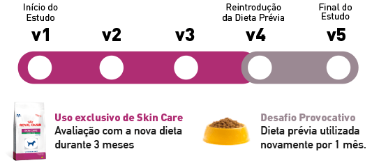 Metodologia do Estudo