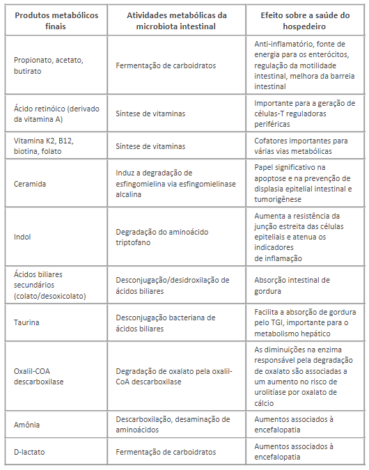 Tabela de metab&oacute;litos derivados de microrganismos no TGI.0 