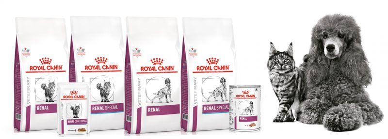 linha Renal