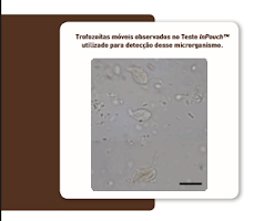 presen&ccedil;a de Tritrichomonas foetus em filhotes