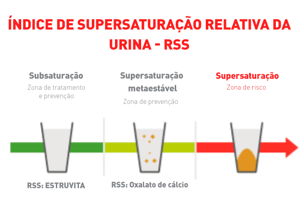 afec&ccedil;&otilde;es urin&aacute;rias em gatos