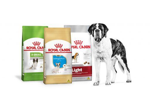 linha de alimentos para cães saudáveis