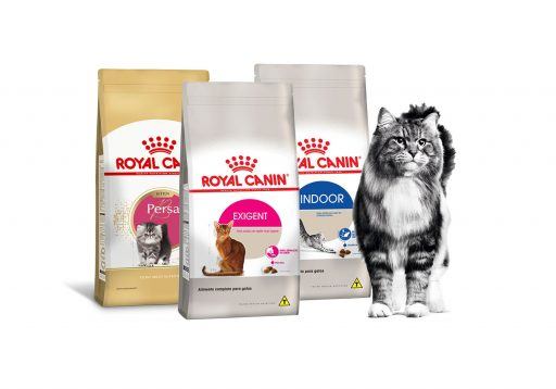 linha de alimentos Royal Canin para gatos saudáveis