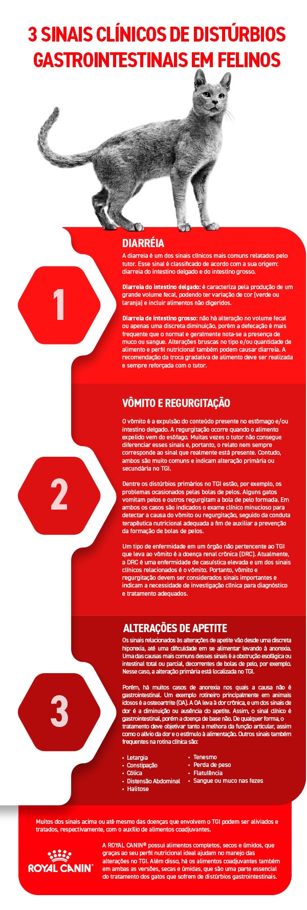 Infográfico sobre os sinais de distúrbios gastrointestinais em gatos