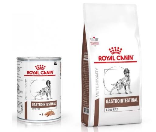 alimentos gastro intestinal low fat