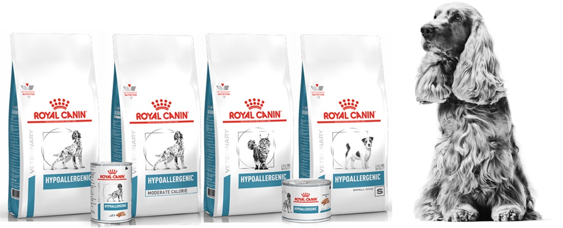 alimentos hipoalerg&ecirc;nicos da Royal Canin