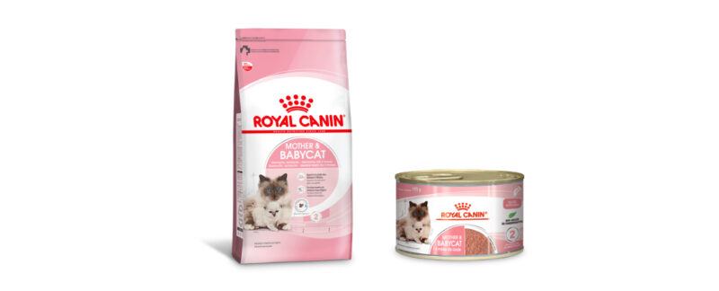 alimento Mother Baby Cat nas versões seca e úmida