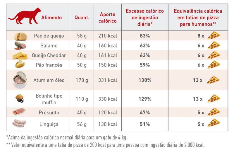 compara&ccedil;&atilde;o de petiscos para gatos e alimentos para humanos