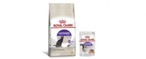 alimentos para gatos castrados
