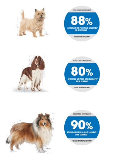Resultados comprovados da linha Light da Royal Canin