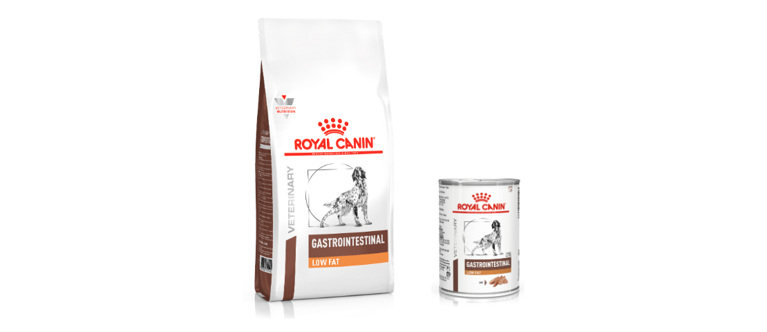 Alimentos Royal Canin Gastroinestinal Low Fat podem ser usados em casos de hipercolesterolemia em c&atilde;es