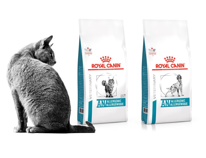 Conheça em detalhes a linha de nutrição veterinária da Royal Canin