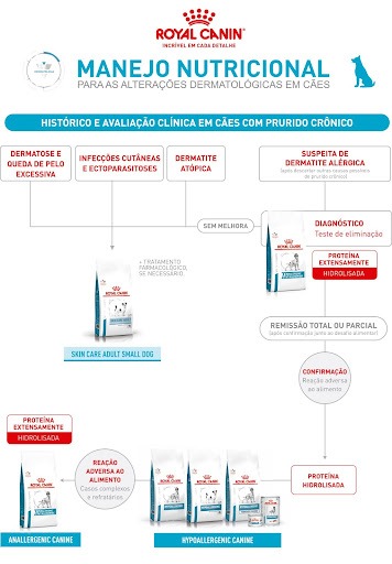 como fazer o manejo nutricional para as altera&ccedil;&otilde;es dermatol&oacute;gicas em c&atilde;es