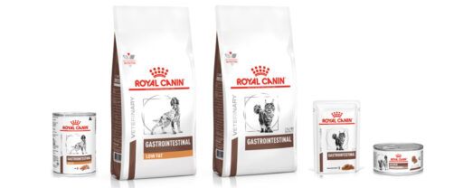 alimentos da linha Gastrointestinal para c&atilde;es e gatos da Royal Canin
